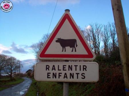 Je ne sais pas trop comment le prendre !!!