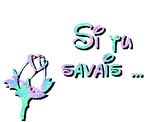 Tout ce que j'ai au fond de moi, qui brûle uniquement pour toi...