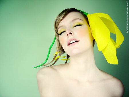 Une histoire de petite fleur...