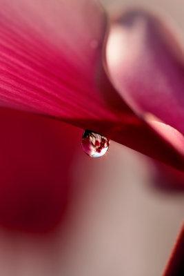 Juste une goutte d'eau