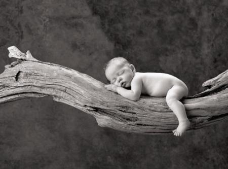 Trop chou !!!