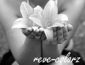 Juste avant toi...