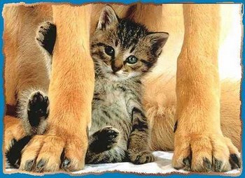 C'est trop mignon !!!